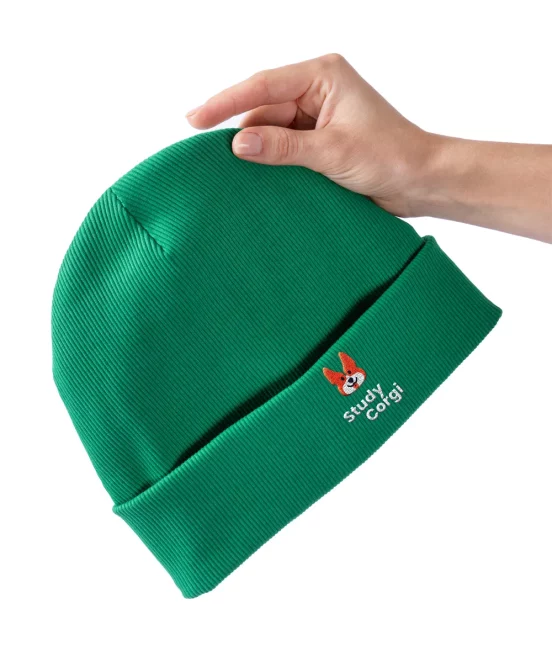 StudyCorgi Beanie Green